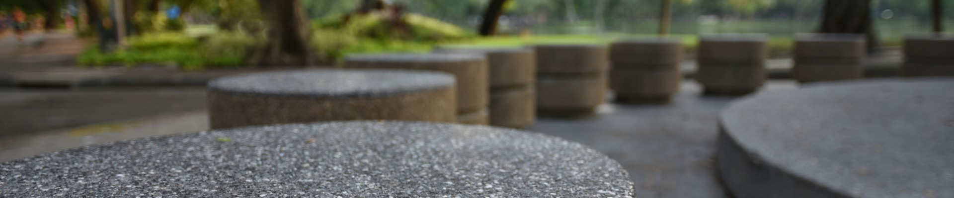 Circular ordered stone bollards with a background of grass and tree-trunks