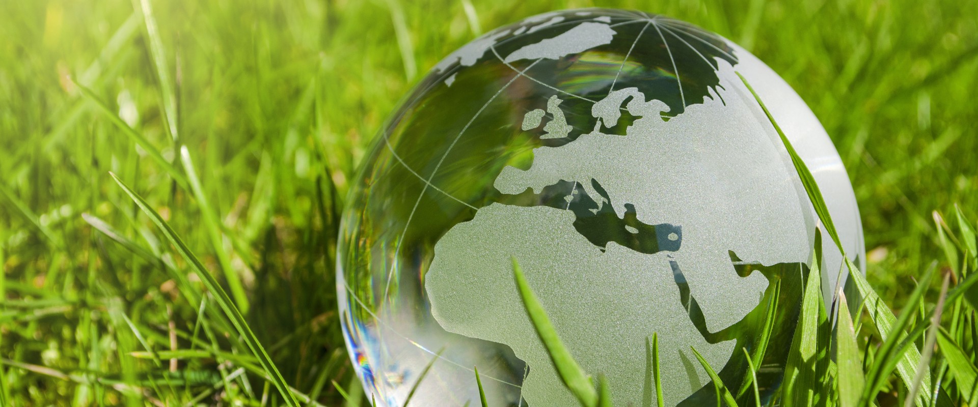 Glass globe in juicy grass